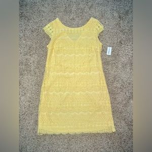 DressBarn Womens Dress Size 8- NWT